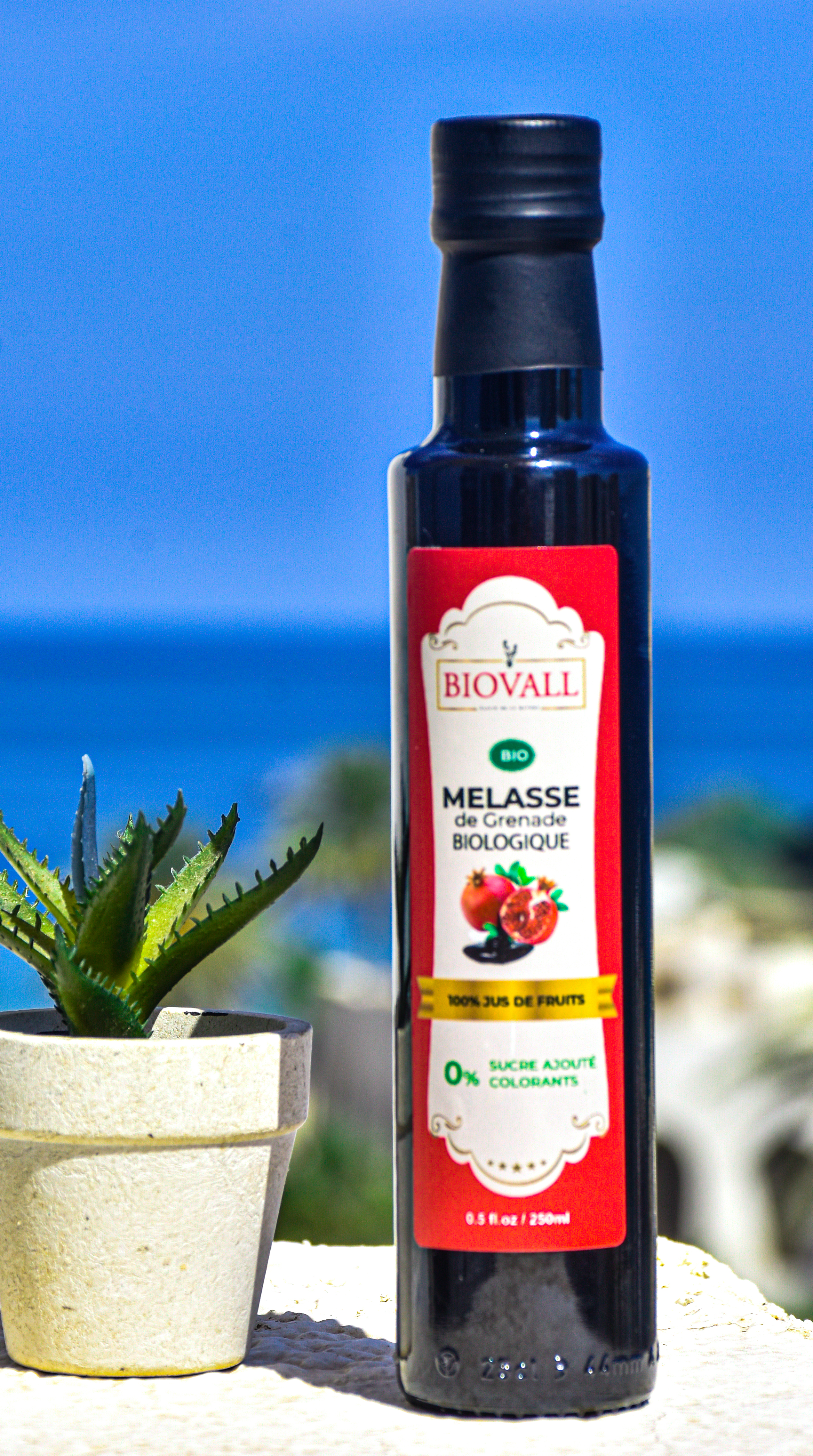 Mélasse de Grenade - 250 ML