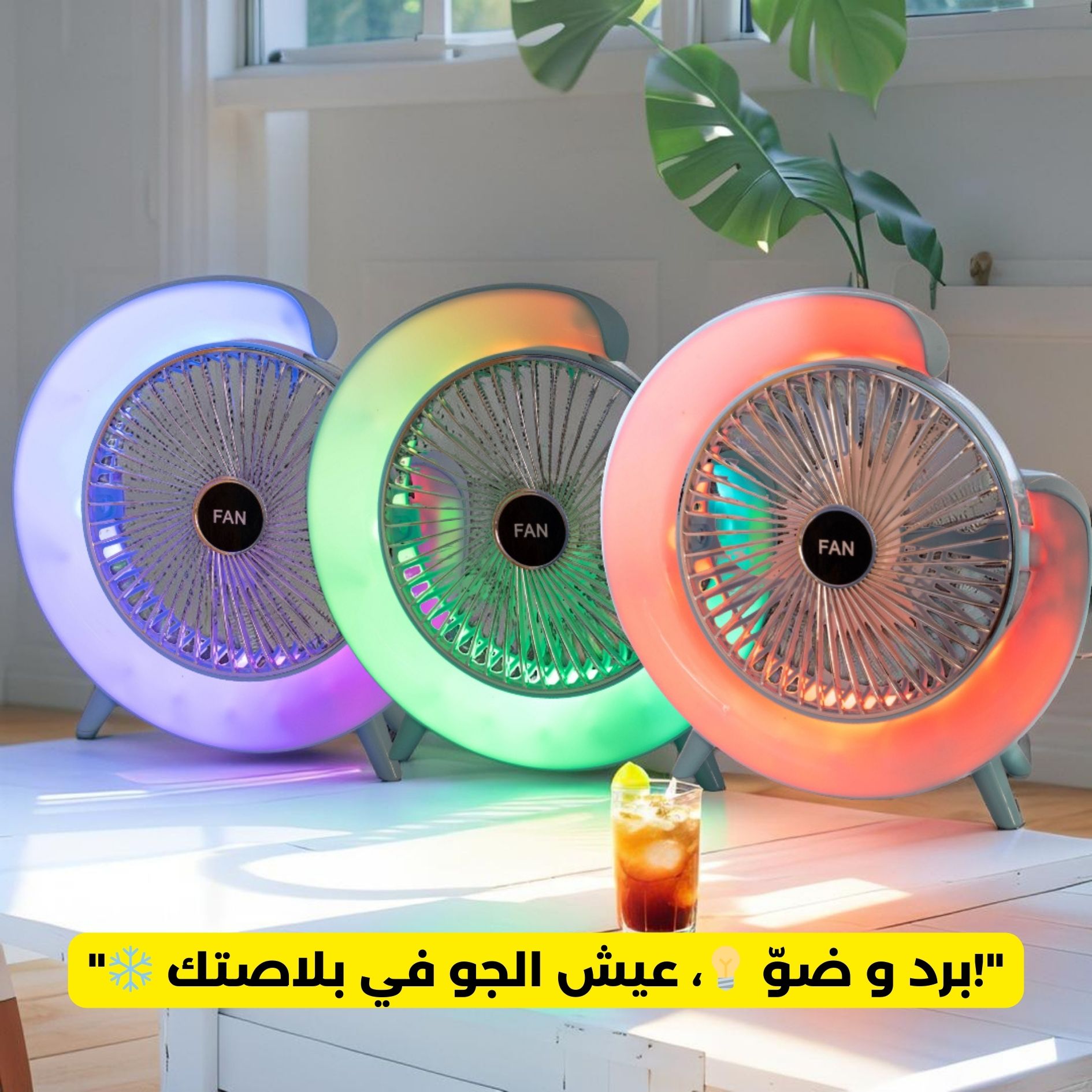 Ventilateur de Bureau FAN 24 CM